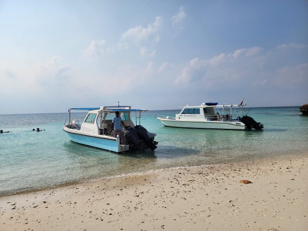 HALF DAY SNORKELING TRIP - Image 3