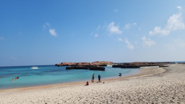 HALF DAY SNORKELING TRIP - Image 5